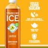 Talking Rain Beverage Company Sparkling Ice Tea + Lemonade Sparkling