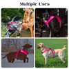 Light Up Dog Harness, Rechargeable Led Dog Harness, Adjustable Lighted