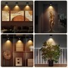 KANESIKI Rechargeable Spotlight, Battery Powered Picture Lights with Remote, Dimmable
