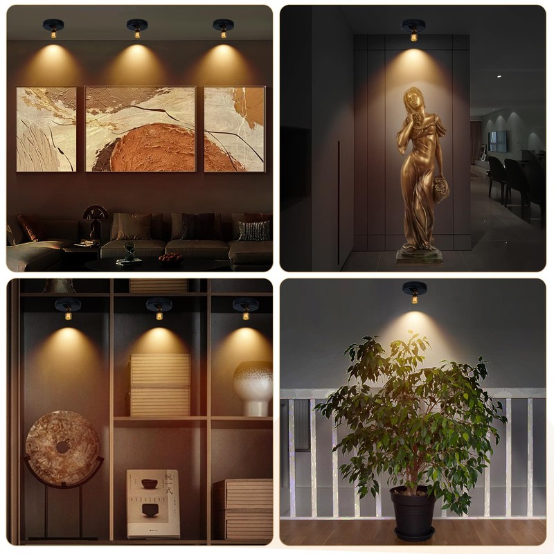 KANESIKI Rechargeable Spotlight, Battery Powered Picture Lights with Remote, Dimmable