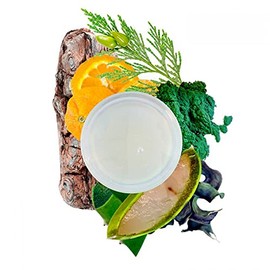 Red Flower Wanderlust Cleansing Hand Wash, 10.2 fl. oz.