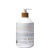 Raw Sugar Vanilla Bean Sugar Natural Hand Wash 16.9oz