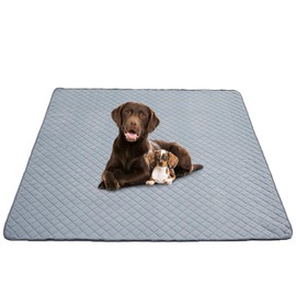 Eterish Reusable Washable Pee Pads for Dogs Extra Large 54'' x 54'' 2 Pack, Absorbent Pet Puppy Dog Training Pads Non-Slip, Waterproof Whelping Potty Pads for Dogs Leak-Proof