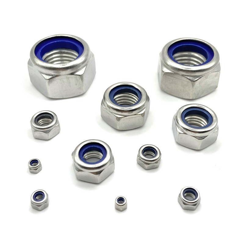 ProRaje Pack of 10 NYLSTOP Nuts M6 Stainless Steel Undelayed