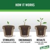 RootBoost Rooting Hormone 2 Ounces