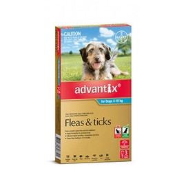 Advantix Buy Advantix For Medium Dogs 4 to 10kg 3 Pack Online