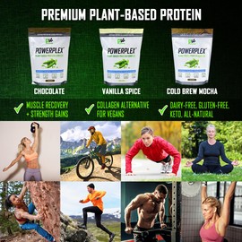 PhysiVantage PhysiVantage POWERPLEX Vegan Protein Powder, Collagen Alternative - Organic Plant-Based Pea & Rice Protein, Dairy-Free, Non-GMO, Supports Muscle & Joint Recovery, Monk Fruit Sweetened 2 lb (Chocolate)