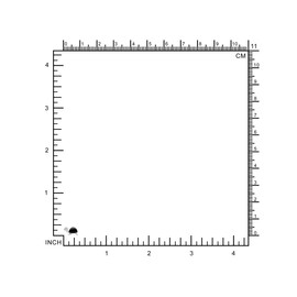 Silvershake Petite Natural Black Onyx Stone Inlay White Gold Plated 925 Sterling Silver Minimalist Turtle Sealife Casual Stud Earrings Jewelry for Women or Teens, Small, Sterling Silver Rhodium (White