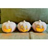 Martha Stewart Set Of 3 Martha Stewart Pink Ceramic Led