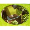 Garden Collection Foam Gardening Kneeling Pad Green