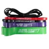 Westside Barbell Resistance Bands Set | Includes 2X Micro, 2X