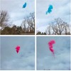 Gender Reveal Skeet Shooting Target Filled with Pink or Blue
