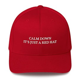 Calm Down It's Just A Red, Hat Red Dad Hat Flat Embroidered MAGA Parody
