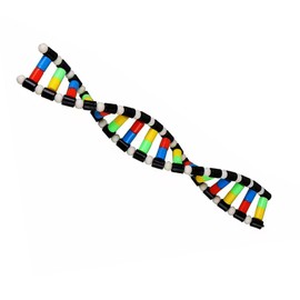 heyous Plastic DNA Double Helix Model Learning Tool Laboratory Instruments Suitable for Science Teaching