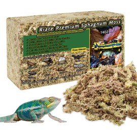 Riare 400 g Premium Sphagnum Moss for Reptiles Natural Terrarium Moss Brick for Reptiles Live Frogs Snake Peat Peat Bedding Leopard Tiger Turtle Annose Orchids Plants (400 g)