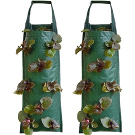 HXStar Pack of 2 Plant Bag Hanging Vertical Plant Bag Strawberry Grow Bag Breathable Plant Bag with 8 Holes Plant Bag Hanging Strawberry Plant Bags