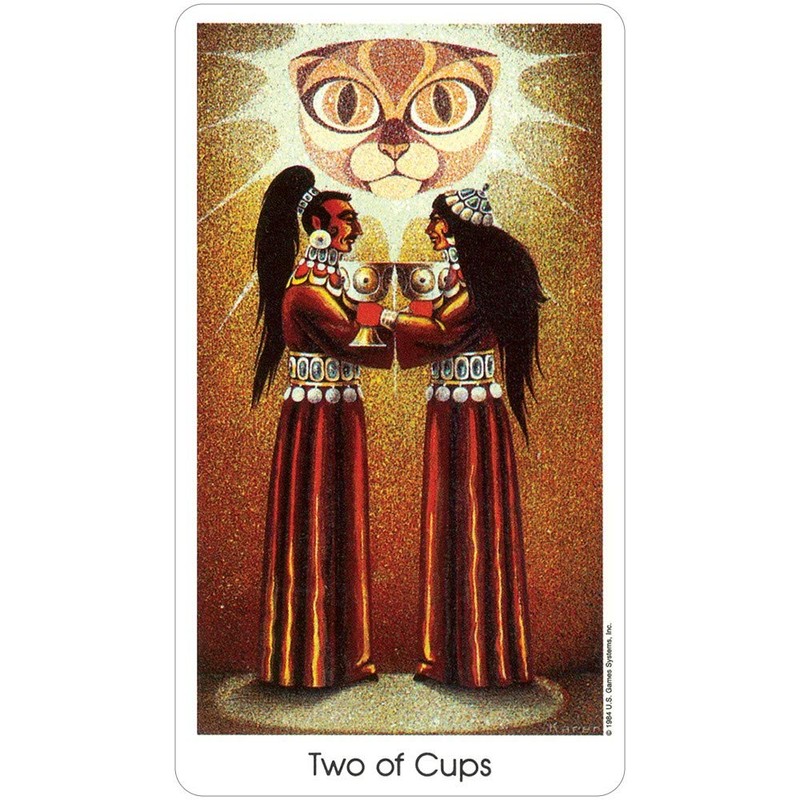 Sage Cauldron Cat People Tarot Deck by Kuykendall, Karen
