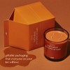 Snif Half Baked Pumpkin Smash 8.5 Oz Scented Candle