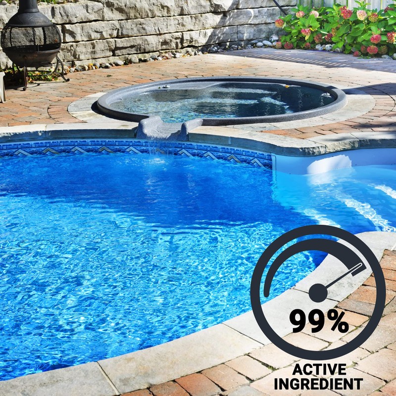 Spa Depot DiChlor Hot Tub Sanitizing Shock, Best Choice Chlorine