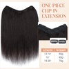 SLEEKALON Black Real Human Hair One Piece Clip in Hair