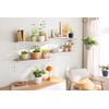 LECHUZA Classico Color 10 Deco Magnolia Table Pot Matte Surface