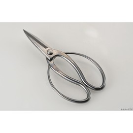 Takagi Kikudo Stainless Steel Long Blade Okyuho Shears, 7.7 inches (195 mm), Plants, Pots, Branches, Flower Cutter, Rust Resistant, Lasting Sharpness, Made in Japan