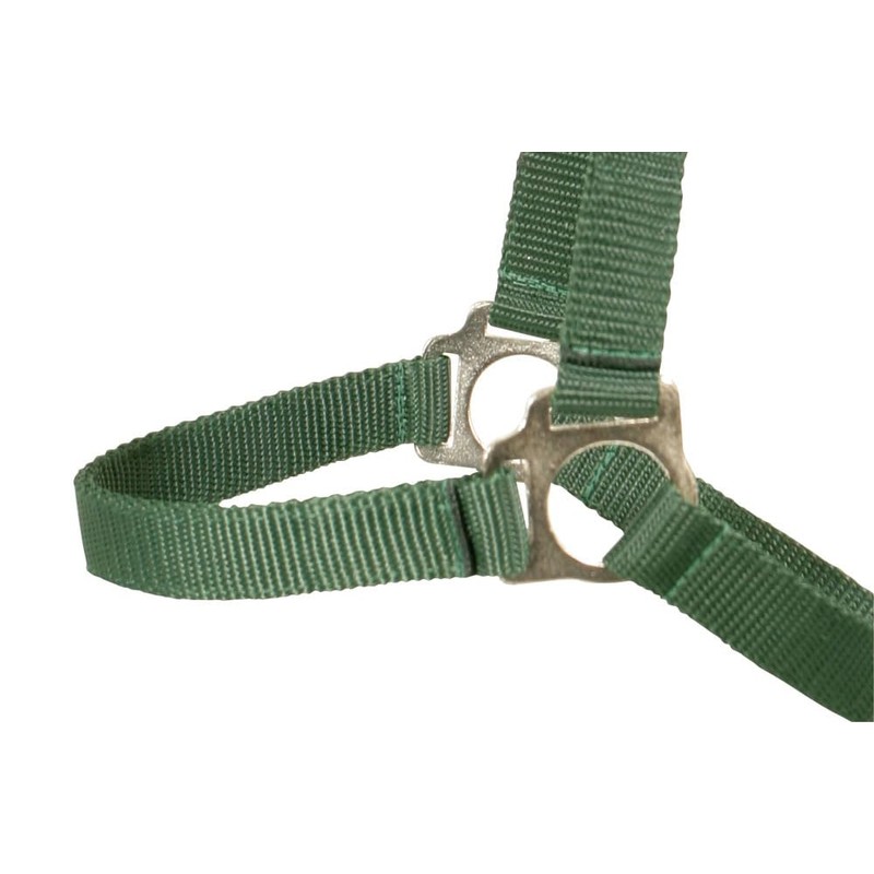 PFIFF Plastic halter blue P1