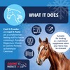 Equine Products Cool It Paste. Calmer For Horses. Fed to