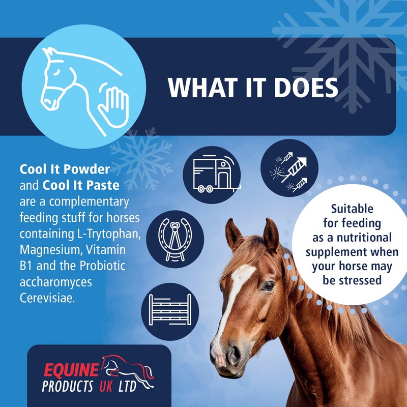 Equine Products Cool It Paste. Calmer For Horses. Fed to