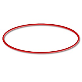 SunSun Replacement Part for CUV 300 and 600 Series Pond Clarifier - O-Ring 2 - for Pond Filter, UV Bulb, UVC Clarifier Accessories