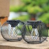 KagoLing Solar-Powered Outdoor Lanterns (2 Pack)Waterproo