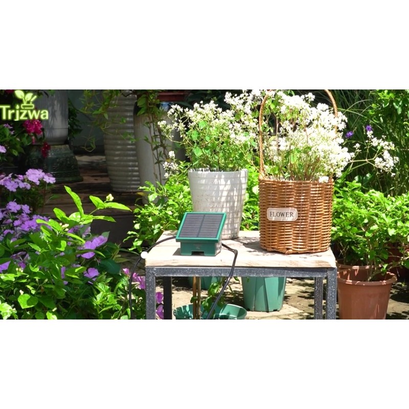 TRJZWA New Solar Irrigation System DIY Irrigation System Kit, 300