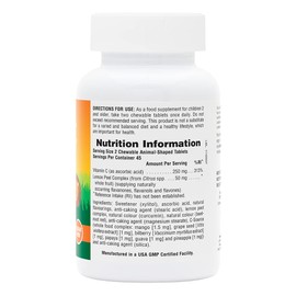 NaturesPlus Animal Parade Sugar-Free Children's Vitamin C, Natural Orange Juice Flavor - 90 Chewable Animal Shaped Tablets - Immune Support - Gluten Free - 45 Servings