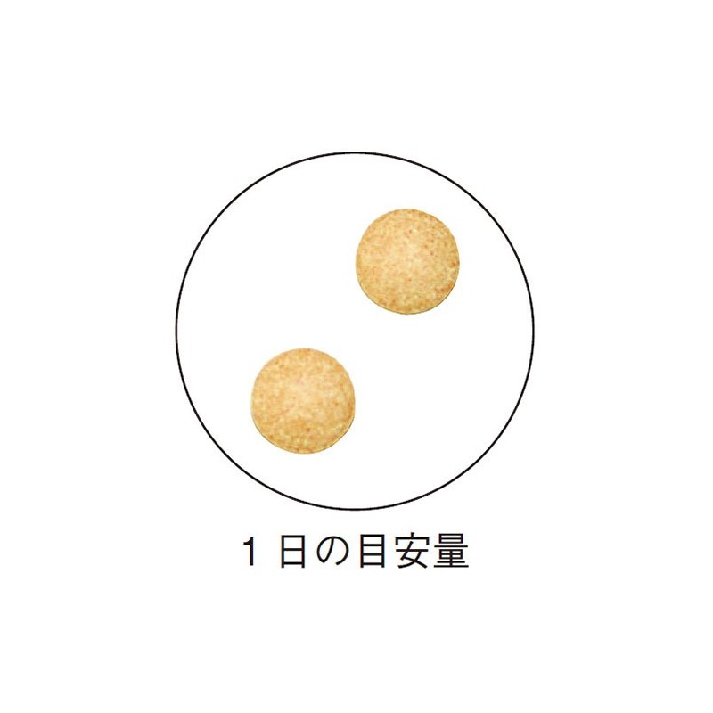 インシップ 大豆イソフラボン 200mg×60粒 1か月分