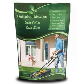 Outsidepride SPF-30 Hybrid Bluegrass Seeds - 5 lbs. Heat & Drought Tolerant, Texas Bluegrass & Kentucky Bluegrass Seed Mix for Challenging Climates, OptiGrowth Coated for Better Establishment