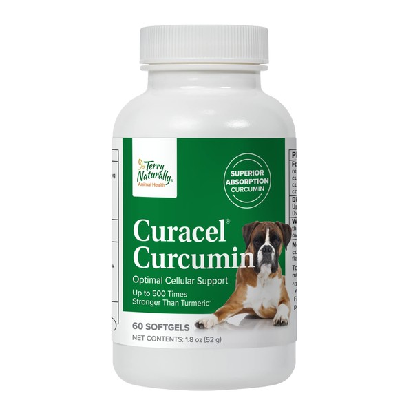 Terry Naturally Animal Health Curacel Curcumin - 60 Softgels - Optimal Cellular Support - Canine Only - 60 Servings