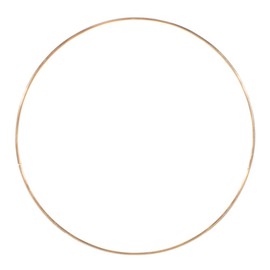 Craft County - Aros de metal dorado para atrapasueños, macramé y arte de pared (20,3 cm, 2 unidades)