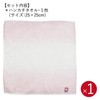 Nishikawa TT88500030P Imabari Towel Gift Box, 1 Handkerchief Towel, Watairo