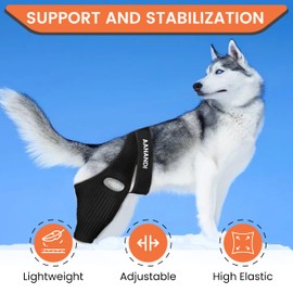 Dog Knee Brace for Torn Acl Hind Leg for Support with Cruciate Ligament Injury, Dog Brace Hind Leg Better Recovery with Adjustable Dog Leg Braces for Relieve Joint Pain and Muscle Sore (Medium)