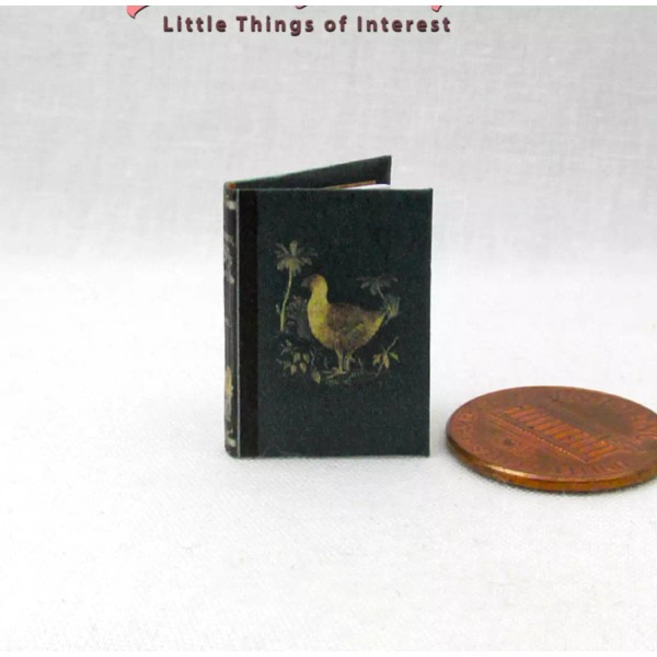 Little Things of Interest A HISTORY OF BIRDS 1:12 Scale