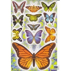 Butterfly Butterfly Lepid Optera Animals Sticker 11-Piece 1 Blade 270 mm x 180 mm Sticker Craft Party
