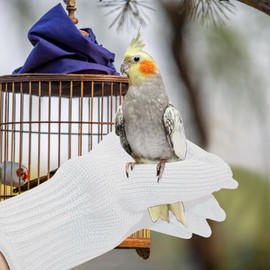 NCONCO 1 Pair Anti Bite Gloves for Parrot Bird Training Gloves Small Animal Gloves Wire Gloves and Steel Wire Protective Gloves Chewing (White)