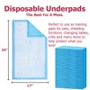 Dealmed (100 Count) Economy Absorbency Disposable Underpads 2-Ply Tissue Fill,