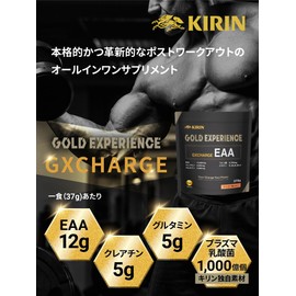 キリン EAA ゴールドエクスペリエンス GXCHARGE 370g マンゴー味 粉末 グルタミン クレアチン クエン酸 プラズマ乳酸菌 必須アミノ酸8種配合