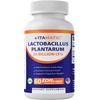 Vitamatic Lactobacillus Plantarum - 20 Billion per DR Capsule -