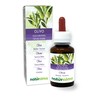 Olive (Olea europaea) Leaves Alcohol-Free Mother Tincture Naturalma - Liquid