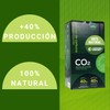 + control GARDEN Box with CO2 Bag for Indoor Growing
