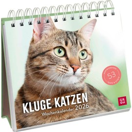 Wochenkalender 2026: Kluge Katzen: Katzenkalender zum Aufstellen mit Wochenkalendarium, Tischkalender für Katzenfreunde