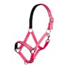 Hkm Headcollar with Stars Softice, Soft Lining