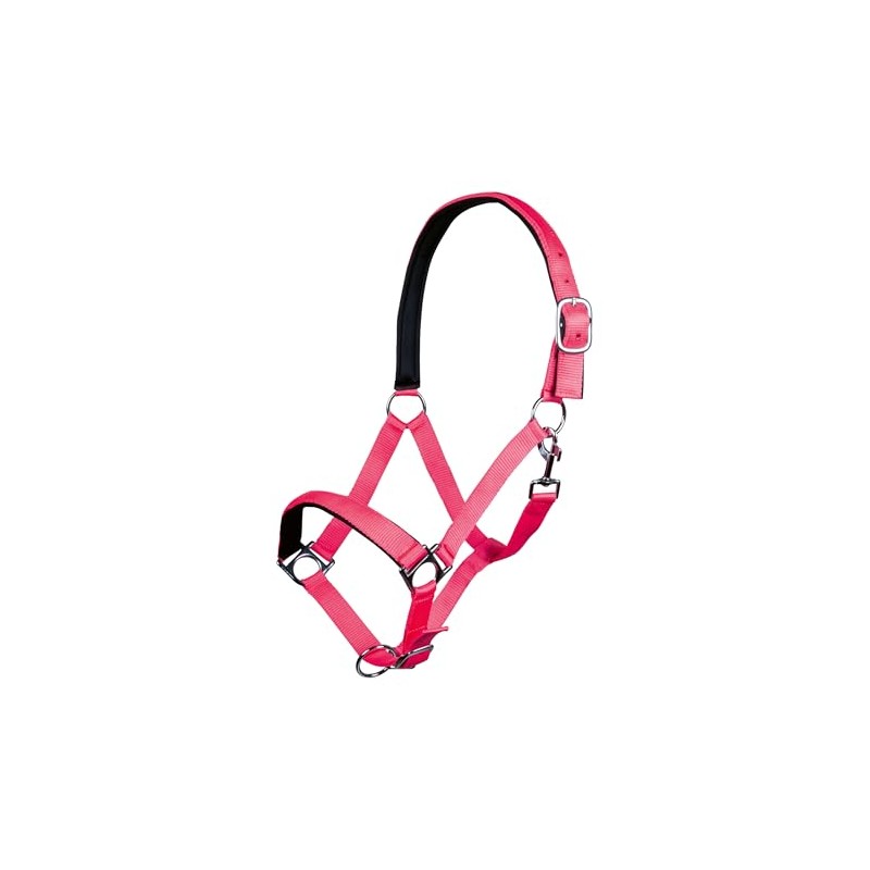 Hkm Headcollar with Stars Softice, Soft Lining